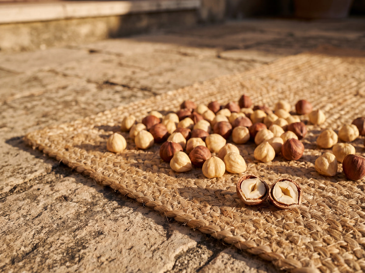 Hazelnuts drying on woven mat, cracked hazelnut in foreground