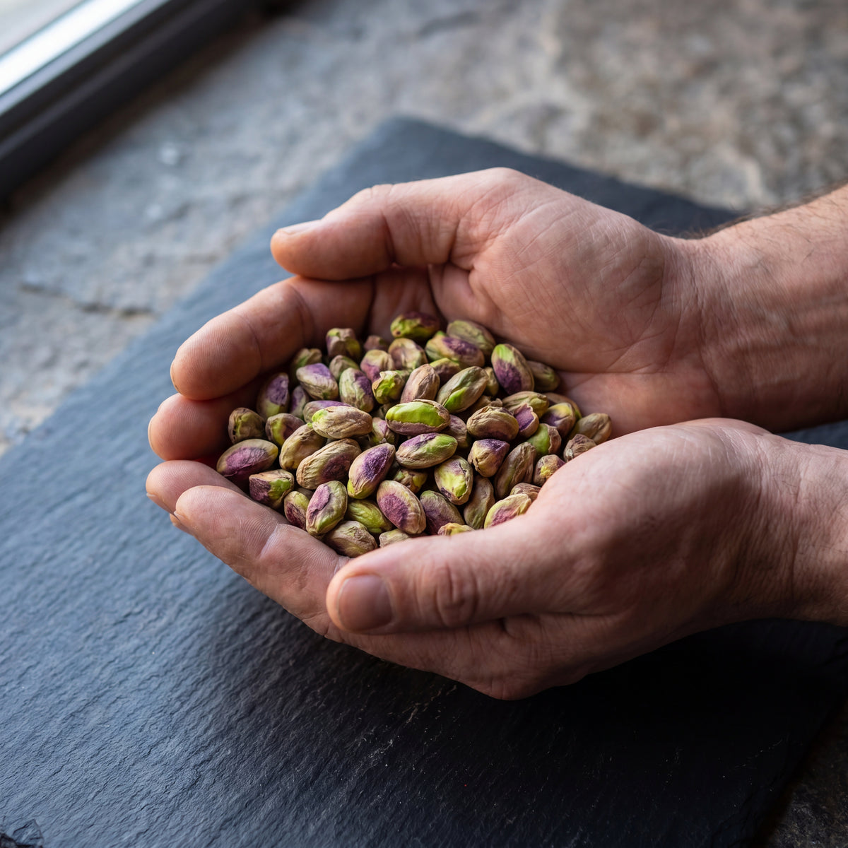 Two cupped hands holding a pile of shelled green and purple pistachios on a slate surface.