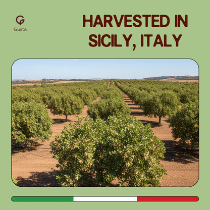 Gusta Pistachio Spread