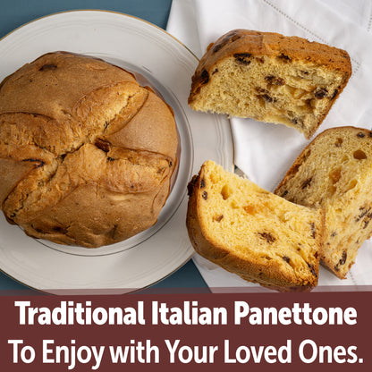 Gusta Panettone Italian Cake - Traditional Christmas Cake - 26.45oz