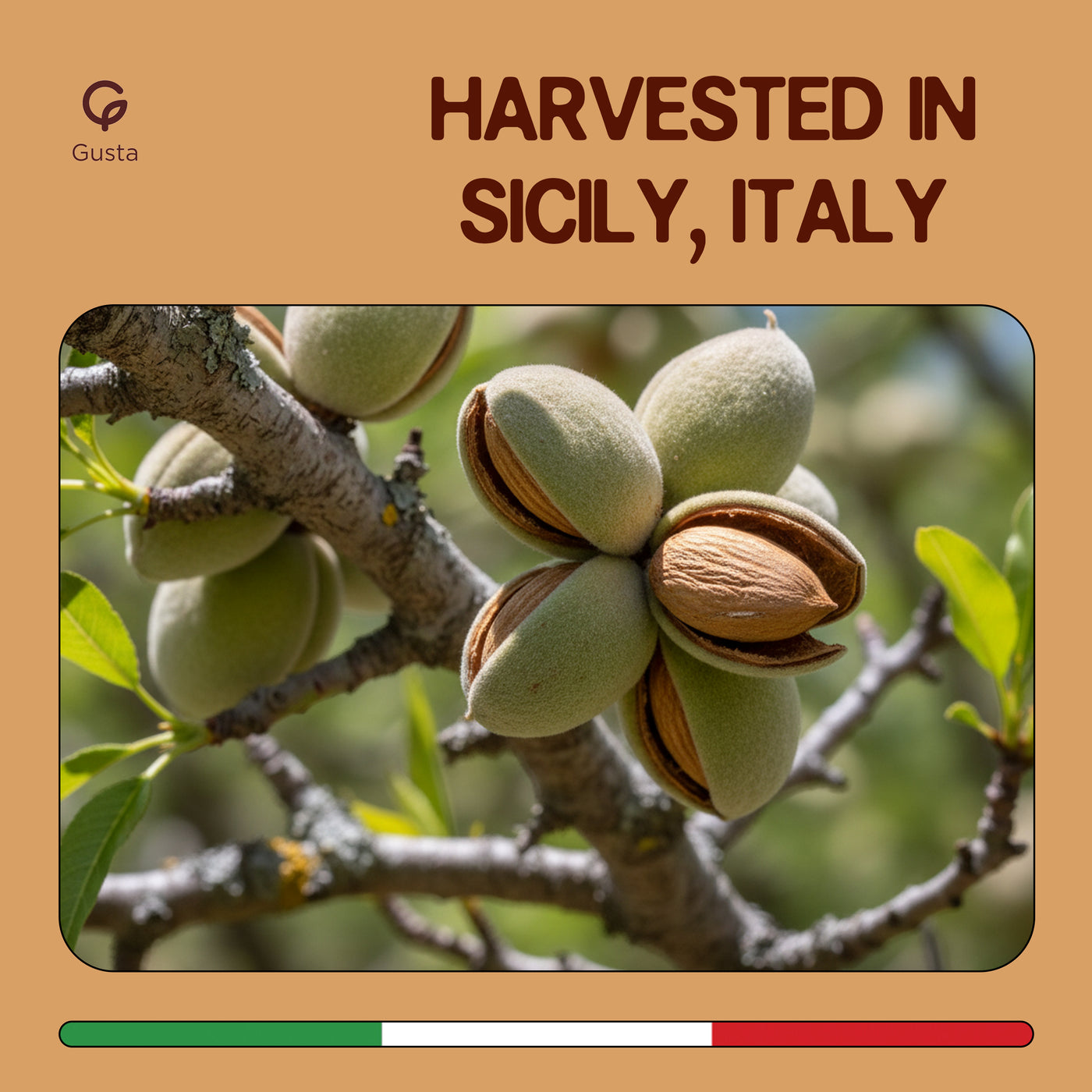 Gusta Italian almond spread ingredients
