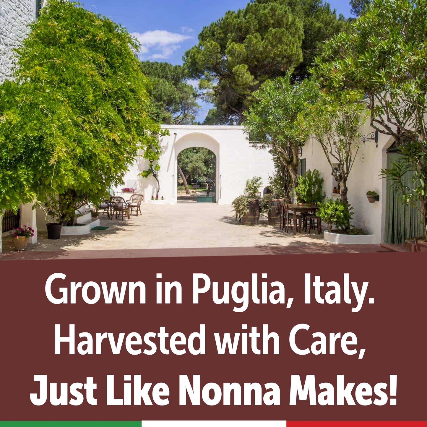 Gusta Apricot Jam Preserve