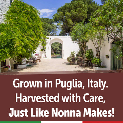 Gusta Apricot Jam Preserve